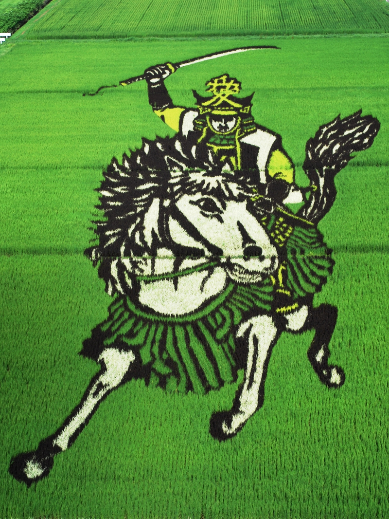 Illustration for article titled Grainy pictures